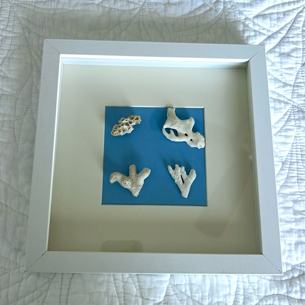SEA CORAL ART